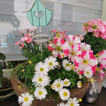 Moderne Am Flohbach 1 Floh